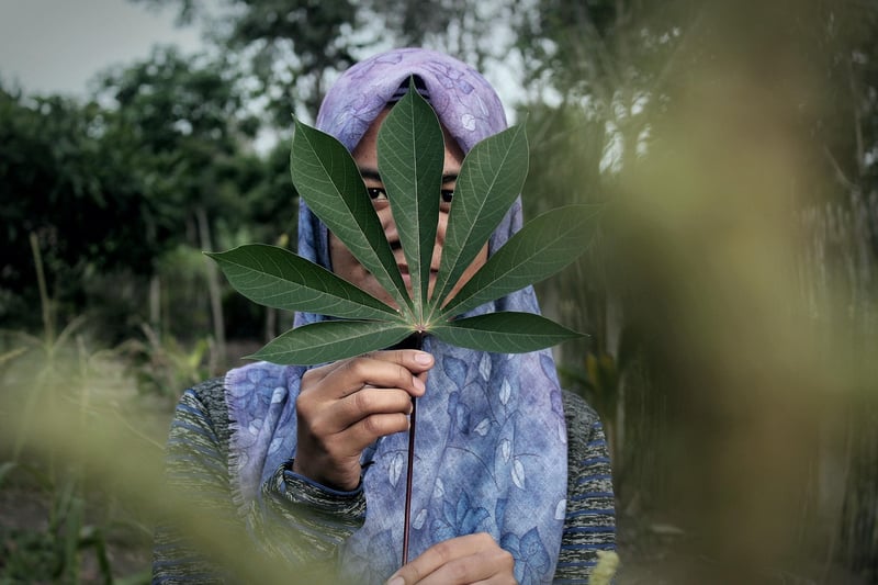Nature-inspired Veils